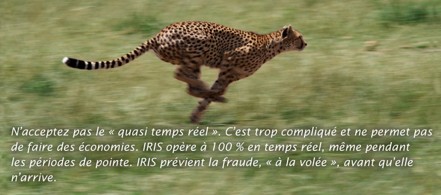 Faster. In-flight scoring all of the time.